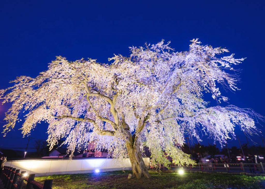 🏯 마쓰마에 번 헤키리치 진야 터 (마쓰마에한 헤키리치 진야아토) 이미지 5